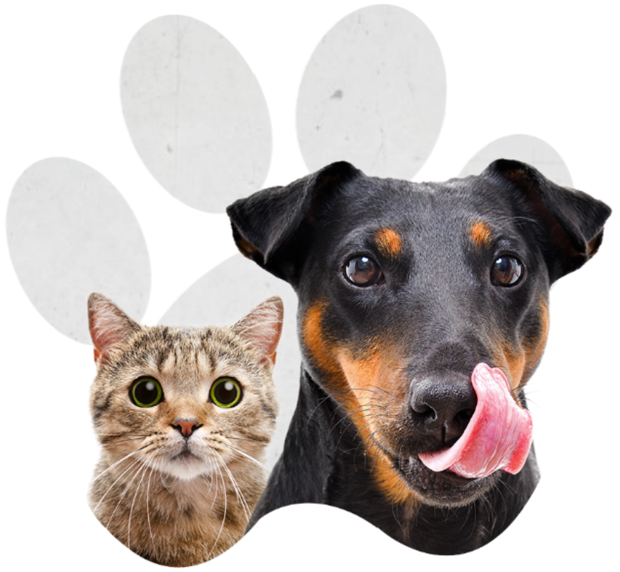 pets