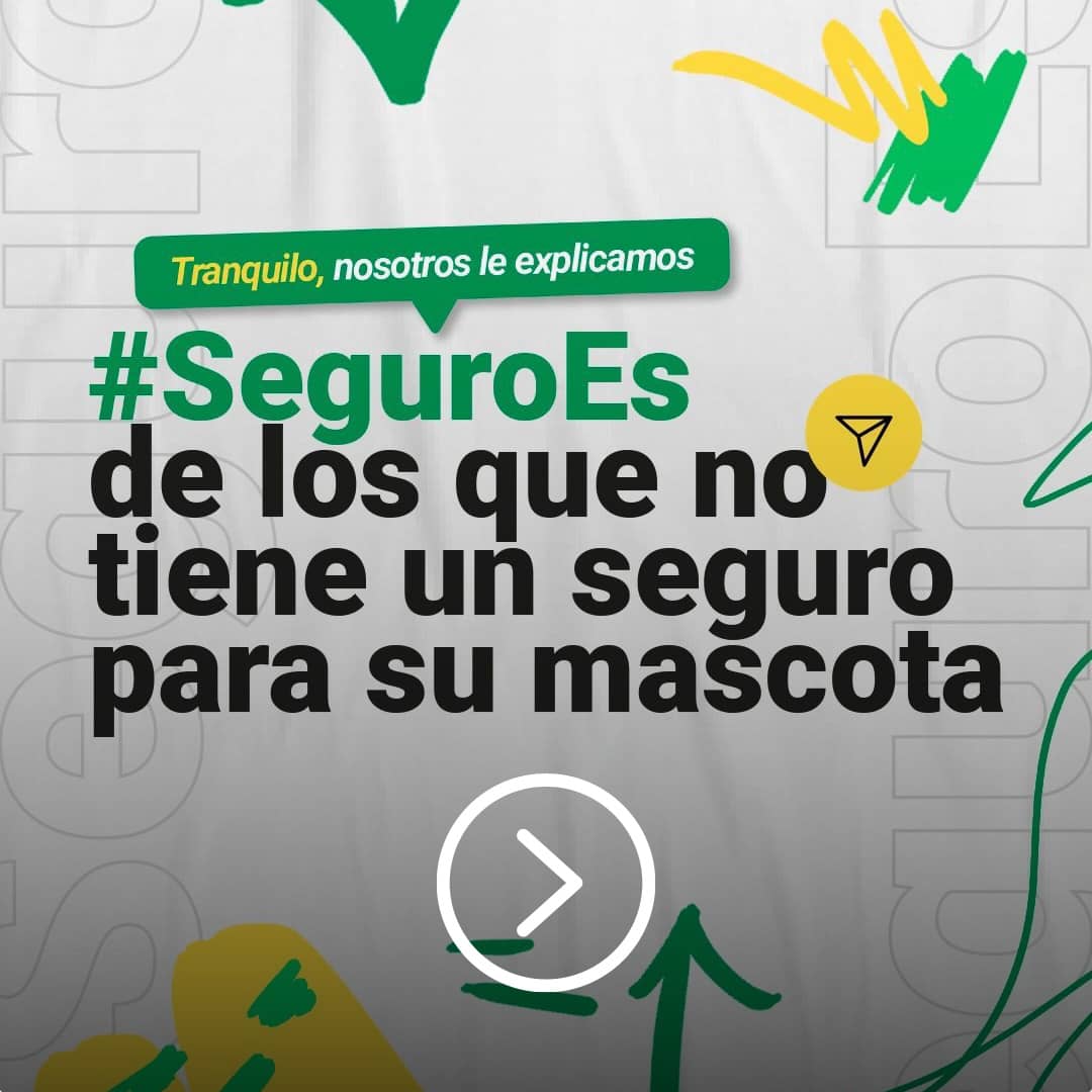 mascota